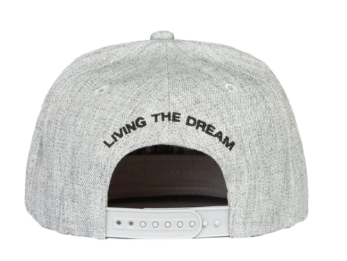 Team LTD Classic Snapback Grey